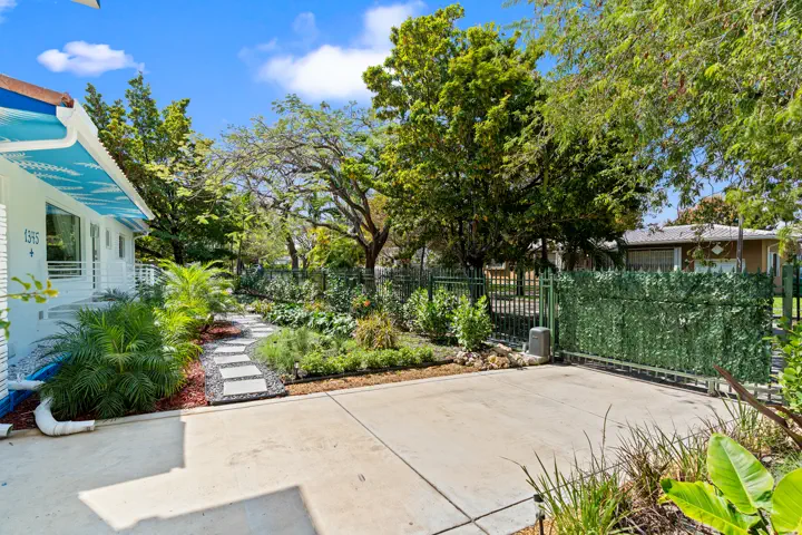 Backyard deck and tropical garden